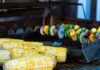 How to grill corn?